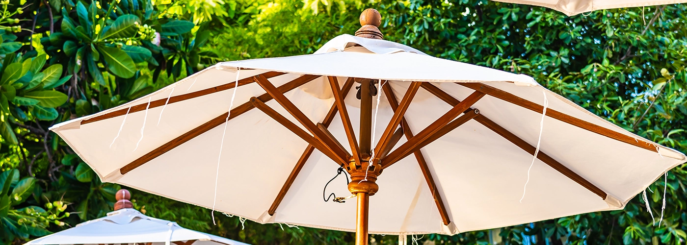 שמשיות לגינה